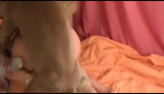 Anjing porno kebun binatang XXX dengan lembut menarik seorang wanita ke dalam vagina porno