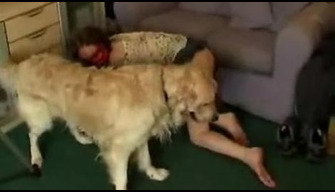 Shaggy chien avec un pelage brillant baisée une jeune zoophile dans un levrette