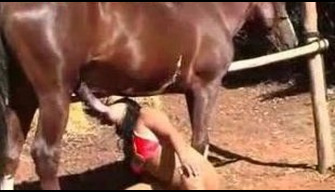 Horse porn wet latina sucks stud and devours cum zoo video oral