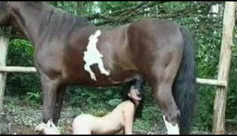 Paard beats hoof als gepassioneerde zoophile geeft blowjob zoo porno video  s kijken naar online