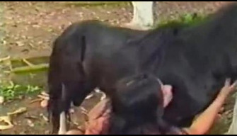 A small horse pony well shot a lustful zoophile with a thick dick in the ass