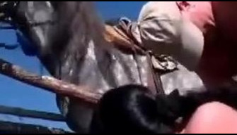 Lussuriosi zoophile succhia il cazzo di un cavallo e un uomo a sua volta zoo video porno guarda gratis online