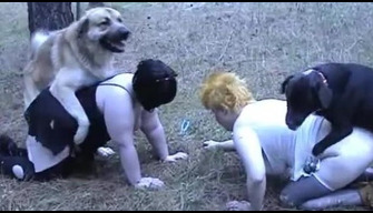 Fat mature sluts fuck with dogs in the forest zoo porn videos online