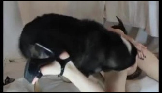 Real de sexo con animales de cuatro patas, perrito tiene un lindo propietarios esposa