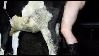 Provinciale russe tapettes en bottes de caoutchouc baisée vache et cumshot