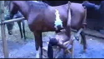 Negritoska massageava a diferença entre os cavalos elde e engoliu malofyu